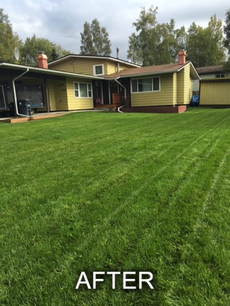 Lawn Install After